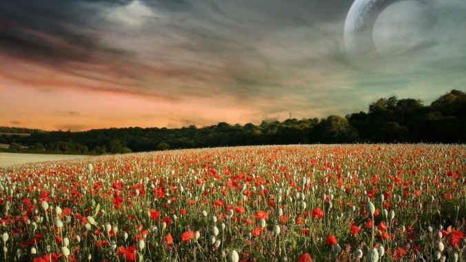 上海首例认定提供爬虫程序抓取公开数据构成提供侵入计算机信息系统程序罪案，该案件有哪些细节值得关注？